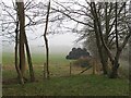 Round bales, Tethyknowe