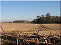 Agricultural sheds