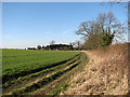 View west along field boundary