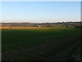 View to Tripps farm near Purse Caundle