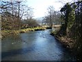 River Nadder near Dinton