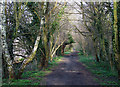 Course of old Railway, near Claregate, Wolverhampton