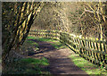 Dismantled Railway, Claregate, Wolverhampton