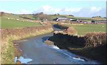 SD1680 : Lane towards Beck Farm near Millom by Andrew Hill