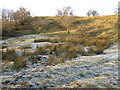 NY8351 : Frosty ground near Acton Burn by Mike Quinn