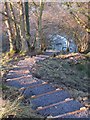NY8351 : Steps on the footpath down to Acton Burn by Mike Quinn