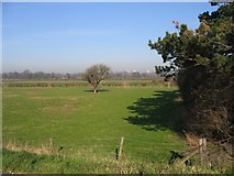 SJ3765 : Farmland alongside the River Dee/Afon Dyfrdwy by John S Turner