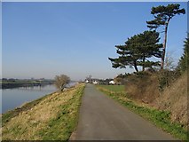 SJ3765 : Cycleway to Higher Ferry by John S Turner