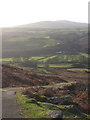 SD1992 : Looking over the Duddon from Birks, into the winter afternoon light by Andrew Hill