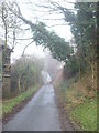 Mutton Lane in the fog