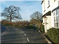 Smestow Path