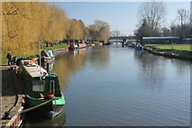 TL5479 : River Great Ouse at Ely by Bob Jones