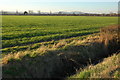 Farmland at Longney