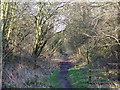 Trackbed of old Railway, Aldersley, Wolverhampton