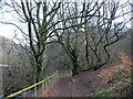 Footpath at Cwm Carn