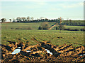 2008 : Field entrance near Peasedown