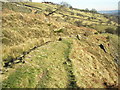 Quarry track