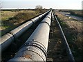 ST3983 : British Steel pipeline, Caldicot Level by Robin Drayton