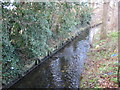 Beverley Brook in Motspur Park