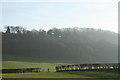 Wooded Escarpment