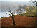 Loch Katrine Shoreline