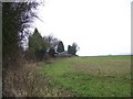 Field Boundary near Fonthill Bishop