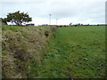 Pastures east of Moorgate Farm