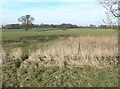 Countryside near Twycross, Leicestershire