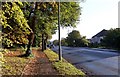 The Avenue Fareham looking east toward the town