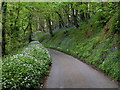 Lane to Treworgey