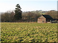 Pastures near Catton