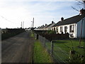 C9235 : Row of cottages at Rockland Crescent by Willie Duffin
