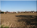 View north across field