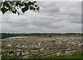TQ1735 : Warnham Landfill Site by Dan Gregory