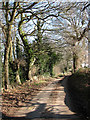 Heading east on Long Lane past Burnt Fen