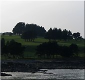 J4882 : Carnalea Golf Course, Bangor [2] by Rossographer