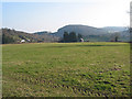 Pasture north of Shapridge