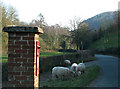 Postbox at Shapridge