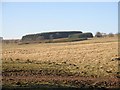 Rough grazing, Raecleugh