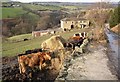 Spring Fields, Stainland