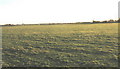 Farmland south-west of the Llwyndyrys junction with the A499