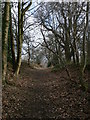 Footpath from the Bridge Inn