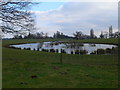 Lake near Plas Newydd Farm