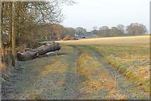 NO4511 : Farm road to Greigston by Jim Bain