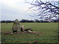 Cornel bach standing stone with quartz