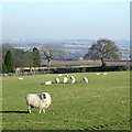 Staffordshire Farm Land near Seisdon