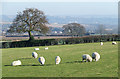 Staffordshire Farm Land near Seisdon