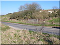 Chalk pit near Lulworth