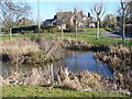 Village Pond, East Clandon