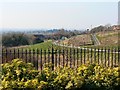 A view west from Thresher Drive, Groundwell, Swindon